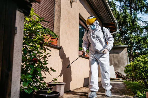 Best Best Pest Control Companies  in Chino, CA